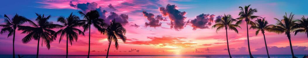 Sunset With Palm Trees and Ocean Background photo