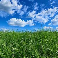 Grassy Field Under Blue Sky With Clouds photo