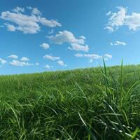 Grassy Field Under Blue Sky With Clouds photo