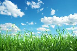 Grassy Field With Blue Sky and Clouds photo