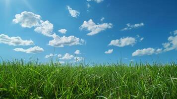 Grassy Field Under Blue Sky With Clouds photo
