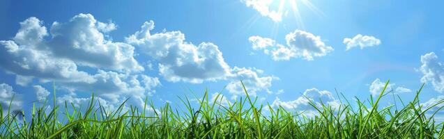 Grassy Field Under Blue Sky With Clouds photo
