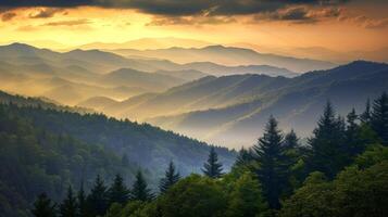 Mountain Range With Trees in Foreground photo
