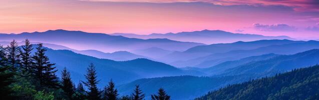 Mountain Range With Trees photo
