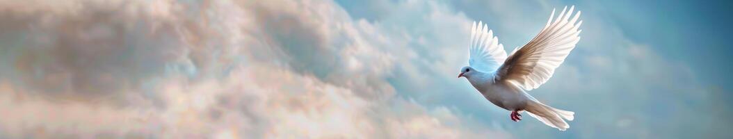 White Bird Flying Through Cloudy Blue Sky photo