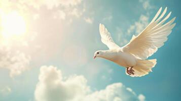 White Bird Soaring Through Blue Sky photo
