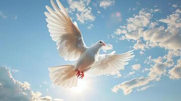 White Bird Flying in Blue Cloudy Sky photo