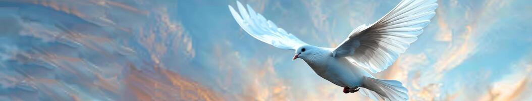 White Bird Flying in Sky photo
