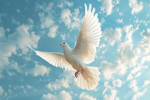White Bird Soaring Through Blue Cloudy Sky photo