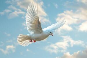 White Bird Flying in Cloudy Blue Sky photo