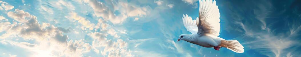 White Bird Flying Through Blue Sky photo