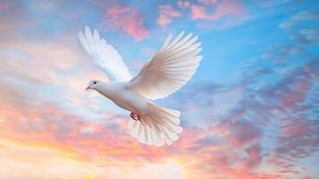 White Bird Soaring Through Cloudy Sky photo
