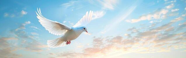 White Bird Flying Through Blue Sky photo