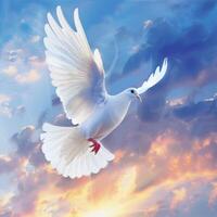 White Dove Flying Through Cloudy Sky photo