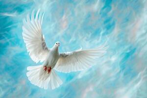 White Bird Soaring in Blue Sky photo