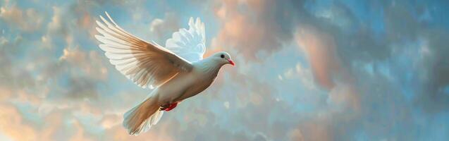 White Dove Flying Through Cloudy Sky photo