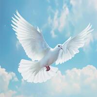White Dove Flying Through Blue Sky photo