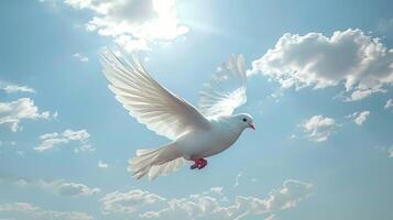 White Bird Soaring Through Blue Sky photo