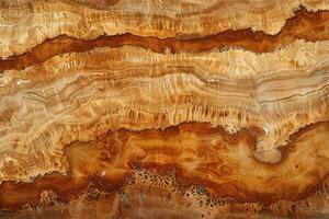 Detailed Close-Up of Wood Grain photo