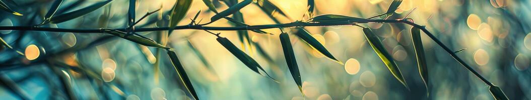 Close Up of Bamboo Plant With Water Droplets photo