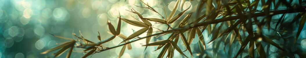 Close Up of Plant With Water Background photo