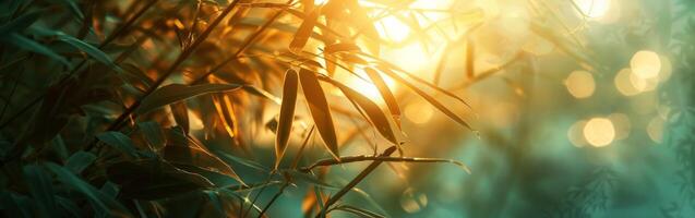 Sunlight Filtering Through Bamboo Leaves photo