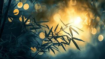 Sun Shining Through Bamboo Leaves photo