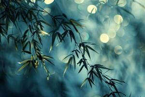Close-up of bamboo tree photo