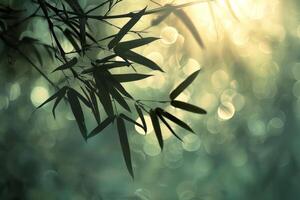 Close-Up of Bamboo Tree Branch photo