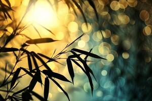 Close-Up of Bamboo Plant With Sun in Background photo