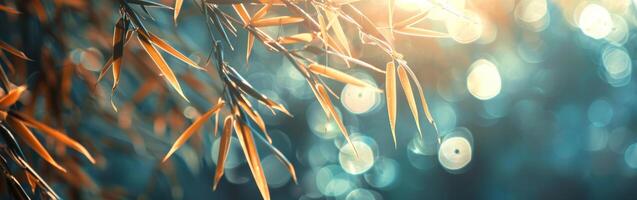 Tree Branch Close Up With Bright Lights photo
