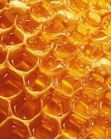 Close Up of Honey Cells photo