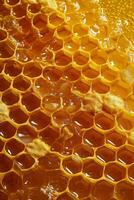 Close Up of Honeycomb With Water Droplets photo