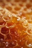 Close Up of Honey Cells photo