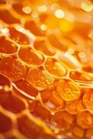 Close Up of Honeycomb Cells photo