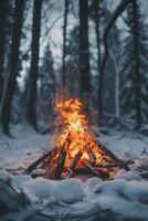Campfire Illuminating Snowy Forest photo