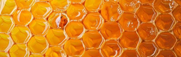 Close Up View of Honeycomb Pattern photo