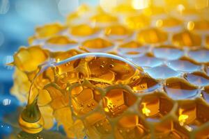 Close-Up of Honeycomb With Water Droplets photo