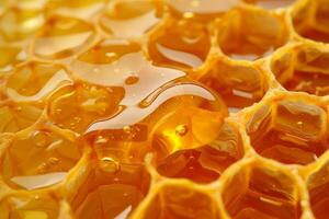 Close-Up View of Honey Cells photo