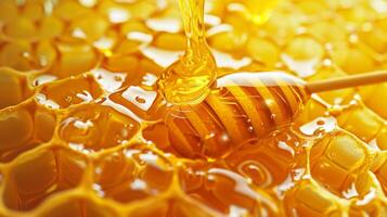 Honeycomb With Honey Dipper photo