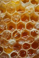 Close-Up View of Honey Cells photo