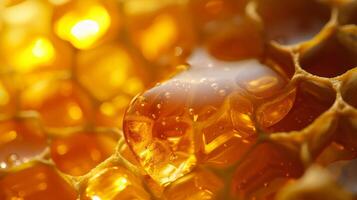 Close Up of Honeycomb With Water Droplets photo