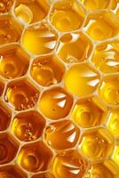 Close-Up of Honeycomb With Honey photo