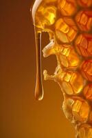 Close-Up of Honey Dripping From Honeycomb photo