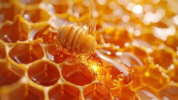Flowing Honey on a Honeycomb photo