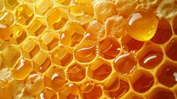Close-up of Honeycomb With Water Droplets photo
