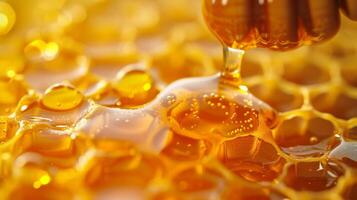 Pouring Honey Onto Honeycomb photo