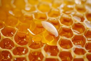 Close-Up of Honeycomb With Spoon photo