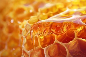 Close-Up of Honeycomb Cells photo