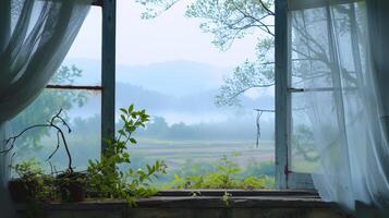Open Window Overlooking a Field photo